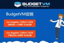 BudgetVM洛杉矶CN2站群独服/E3-1230v3/16GB/258个IP/Enzu机房/168刀/月(日本独服80刀)-SSHCE测评