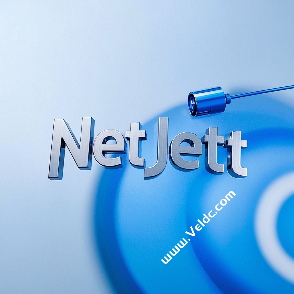 NetJett:德国高性能VPS促销,1核AMD EPYC 9654/1GB DDR5/25GB NVMe+25GB HDD,1Gbps@10TB,年付€10.99起-SSHCE测评